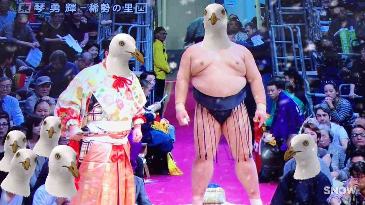 保存したくなる画像