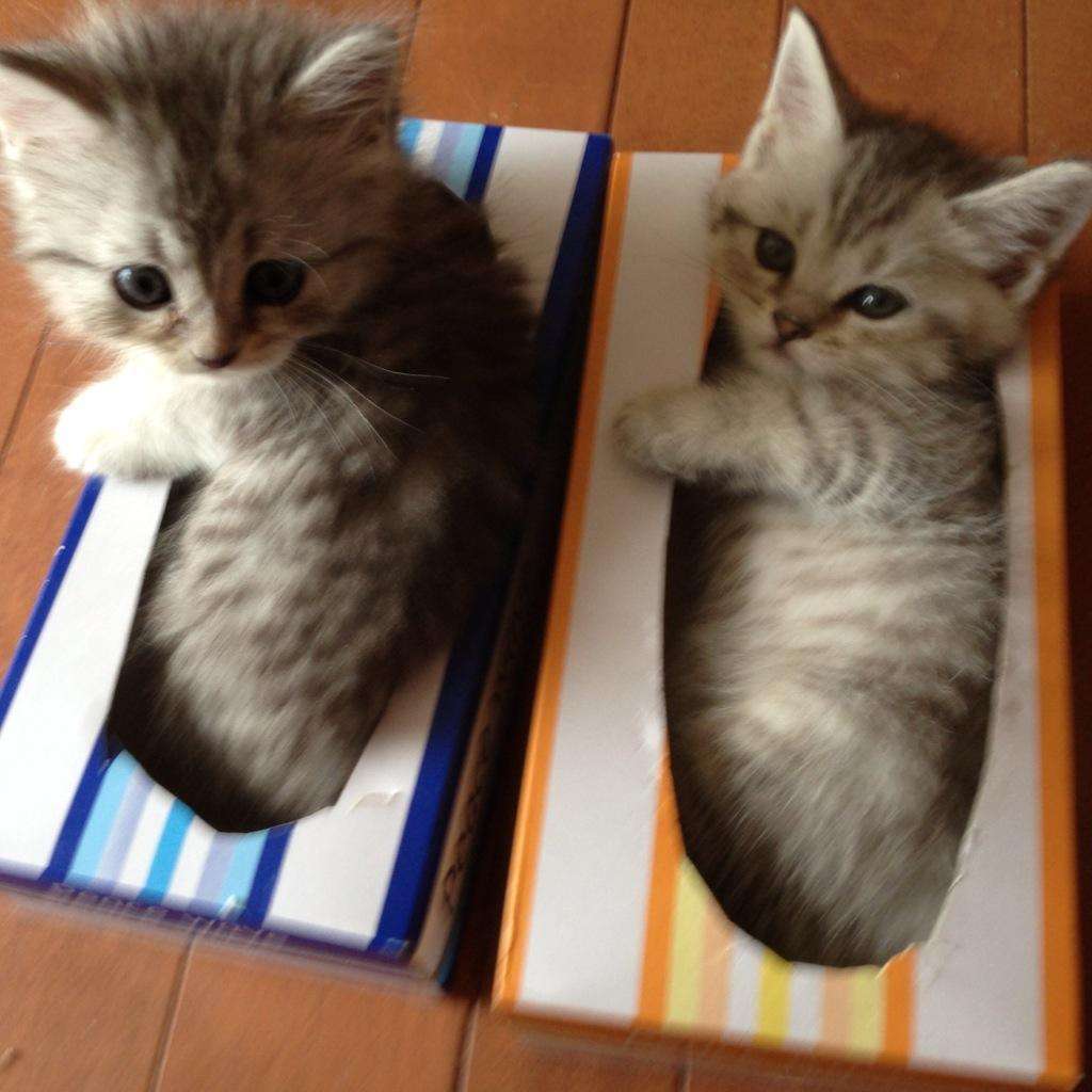 保存したくなる画像