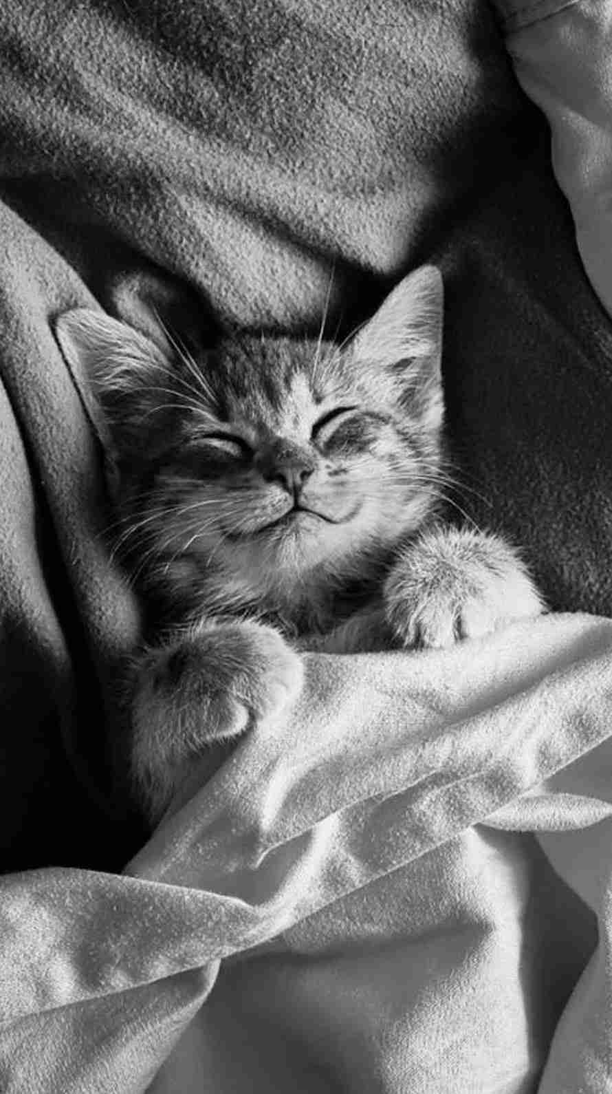 保存したくなる画像