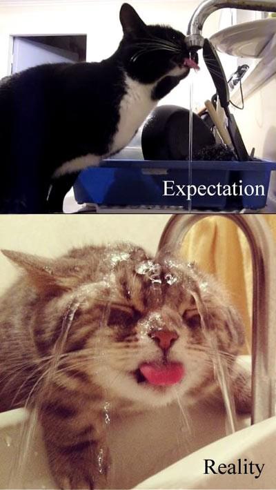 保存したくなる画像