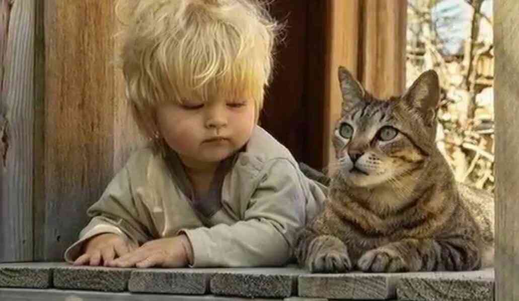 保存したくなる画像