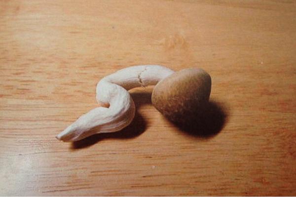 保存したくなる画像