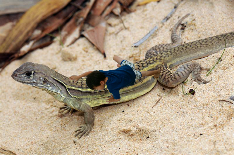 保存したくなる画像