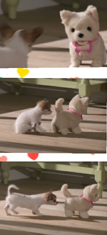 保存したくなる画像