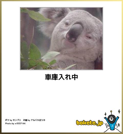 保存したくなる画像