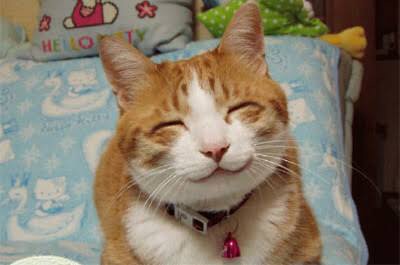 保存したくなる画像