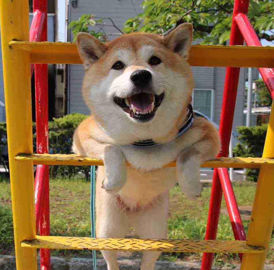 保存したくなる画像