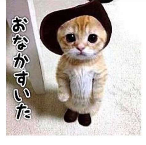 保存したくなる画像