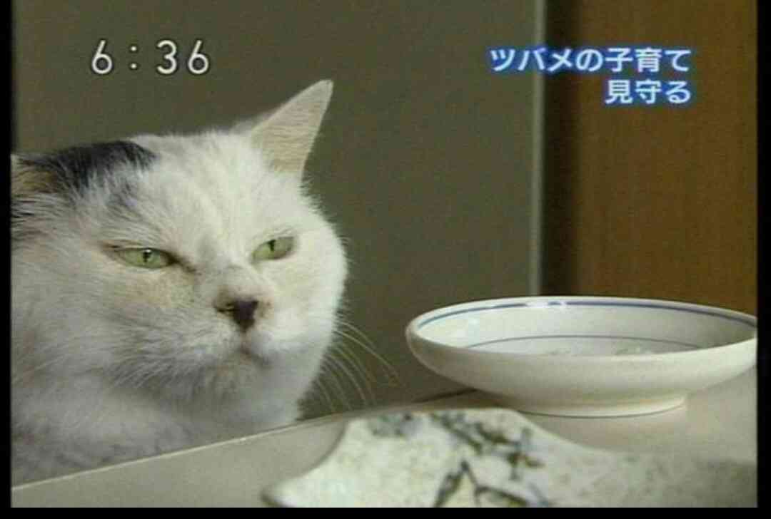 保存したくなる画像