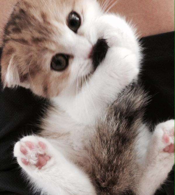 保存したくなる画像