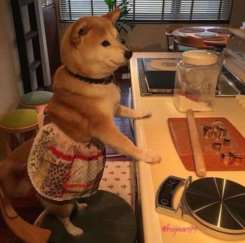 保存したくなる画像