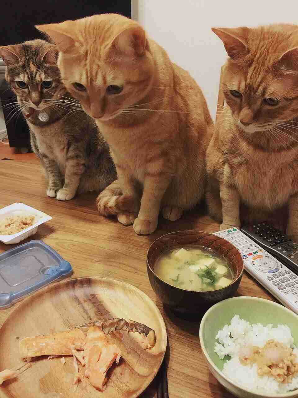 保存したくなる画像