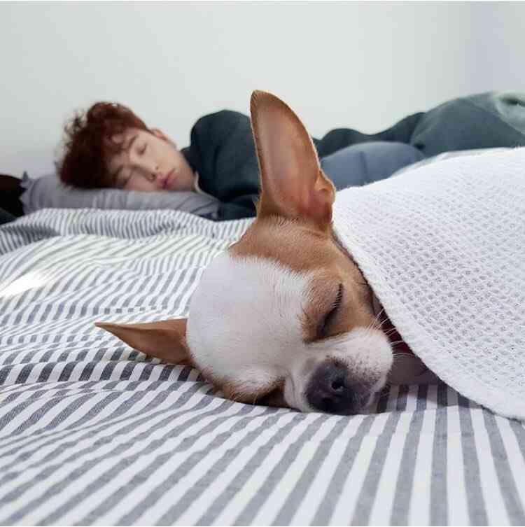 保存したくなる画像