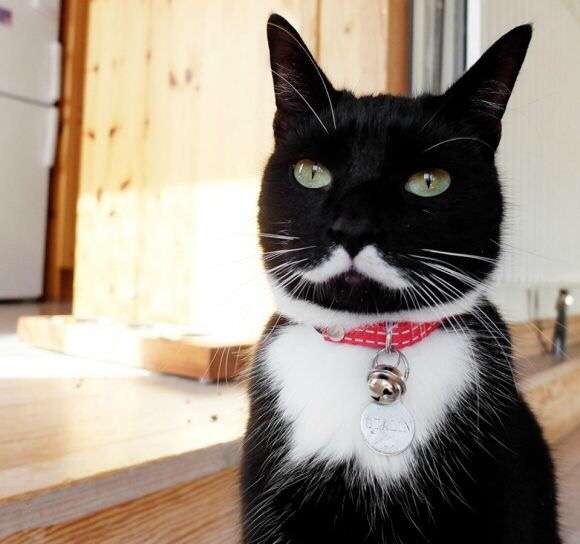 保存したくなる画像