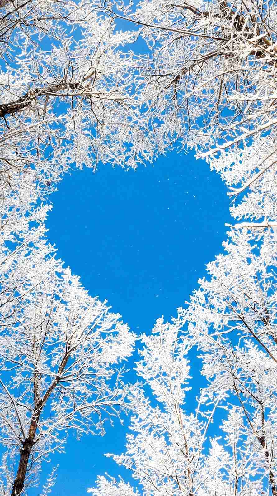 保存したくなる画像