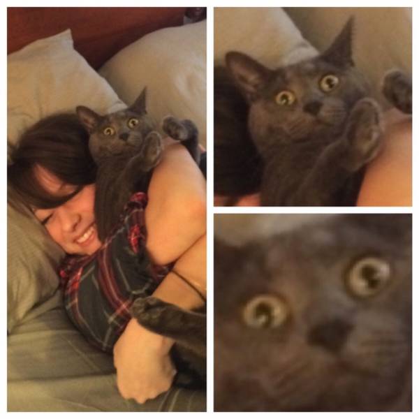 保存したくなる画像