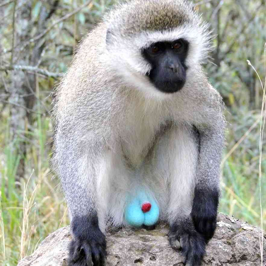 保存したくなる画像