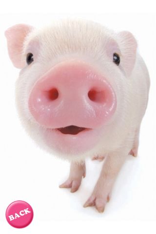 保存したくなる画像