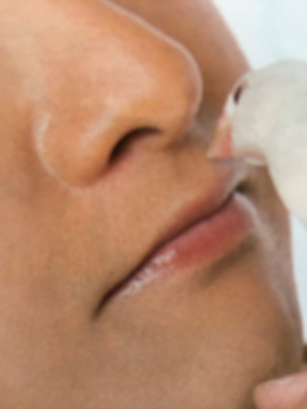 おすすめの薬用リップ