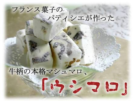 千葉県民の方！