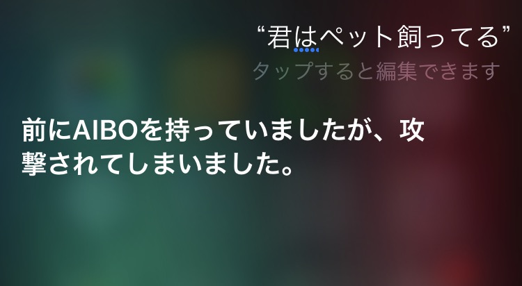 画像を活用してお話するトピ