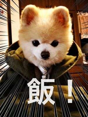 画像を活用してお話するトピ