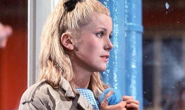 【洋画好き集合】オススメ映画を教えてください♪