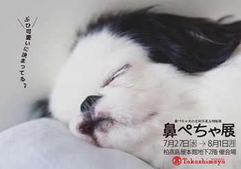 鼻ぺちゃ犬同好会