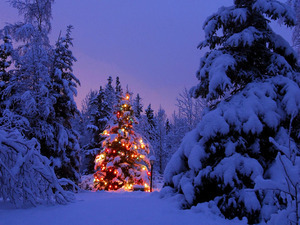 クリスマスツリーの画像を貼っていくトピ