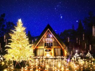クリスマスツリーの画像を貼っていくトピ