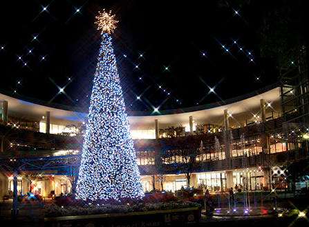 クリスマスツリーの画像を貼っていくトピ