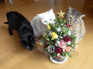 クリスマスツリーの画像を貼っていくトピ
