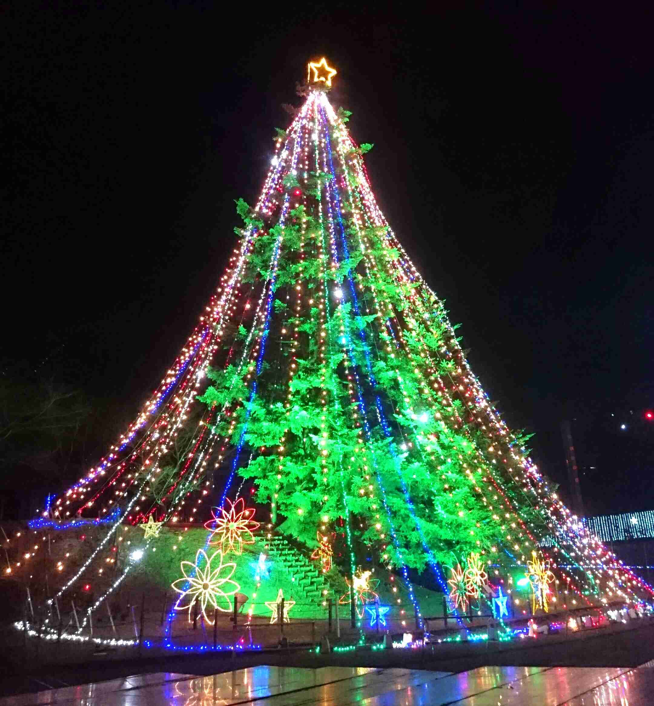 クリスマスツリーの画像を貼っていくトピ