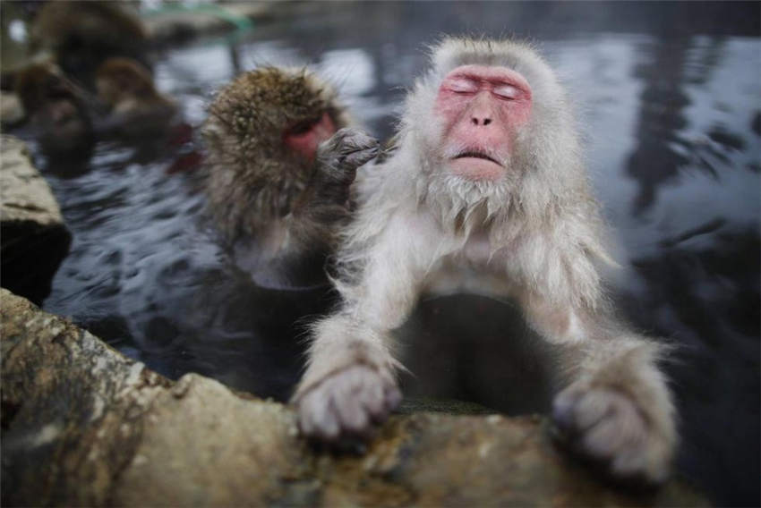 温泉に入ってる気分になれるトピ    