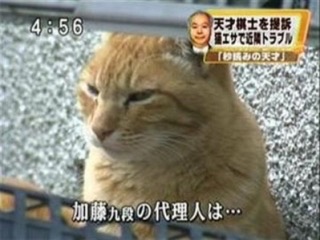 色んなテロップ画像を貼るトピ