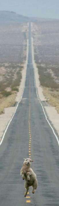 寒いけど、ホラーを語りたい！