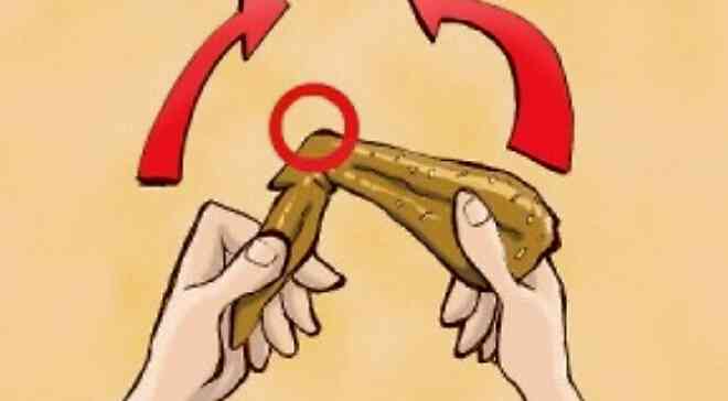 肌に良い食べ物って？