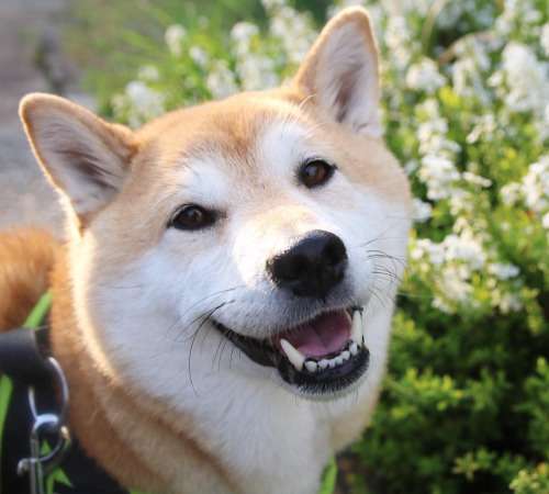 癒し系男子が好きな方！