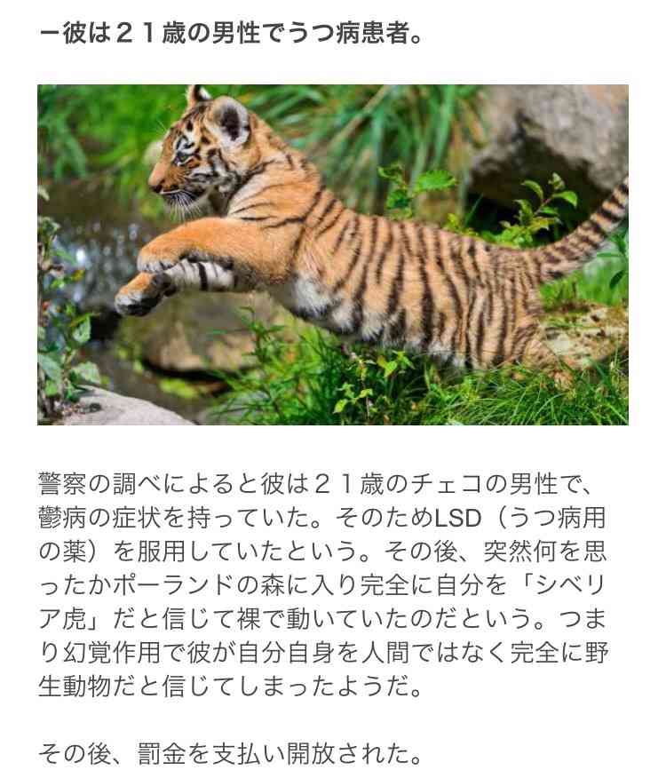 【世界が震撼】謎の四つん這い男の正体判明！自分を「野生の虎」だと勘違いしていた！