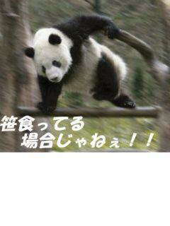 今日誕生日です。誰かプレゼント画像下さい