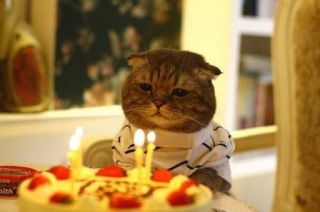 今日誕生日です。誰かプレゼント画像下さい