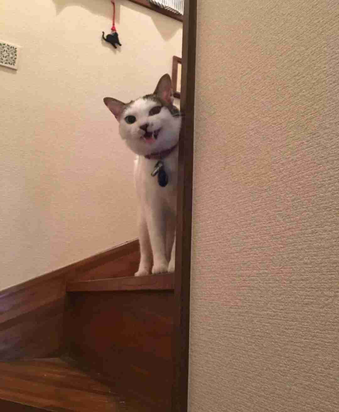 今日誕生日です。誰かプレゼント画像下さい
