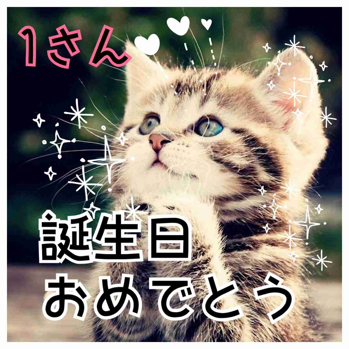 今日誕生日です。誰かプレゼント画像下さい