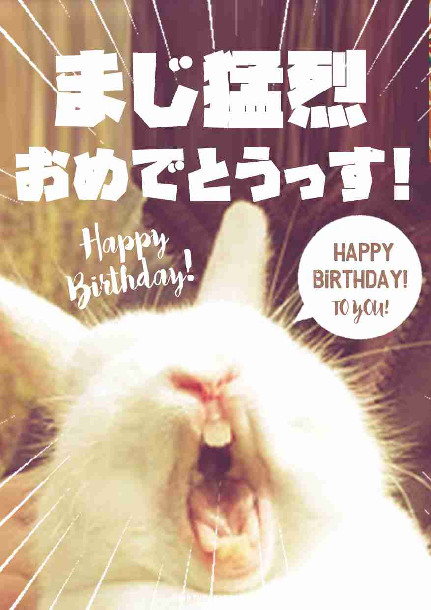 今日誕生日です。誰かプレゼント画像下さい