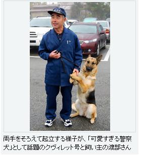 好きな大型犬