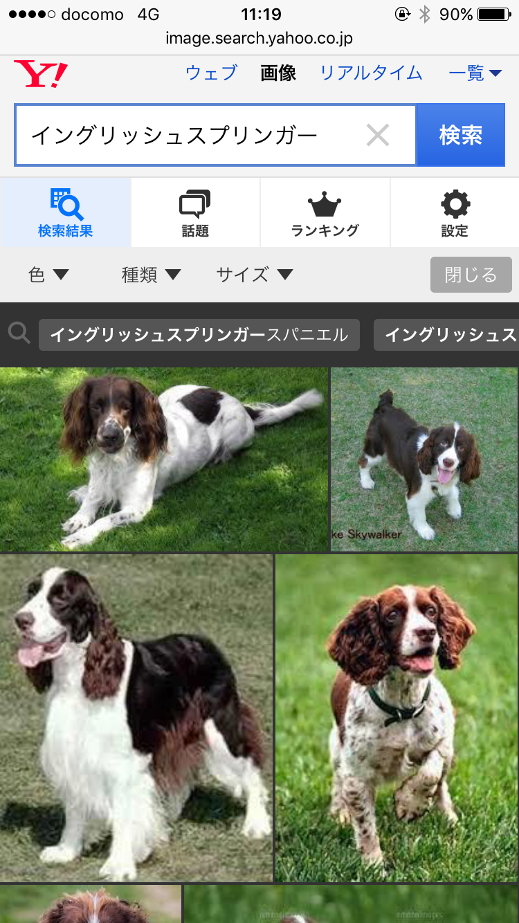 珍しい犬種を語りたい！