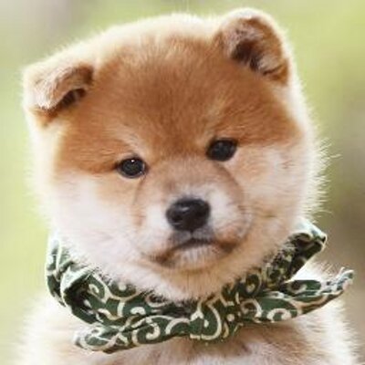岩田剛典が『砂の塔』打ち上げを1次会で切り上げて向かった誕生日会とは