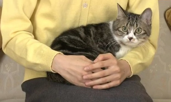 愛子さま、ストイック減量の背景にご学友の「きれい!」の声