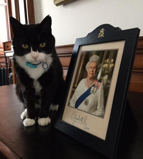 プーチン露大統領に贈った秋田犬「ゆめ」生きていた！日本メディアのインタビューに登場