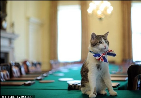 プーチン露大統領に贈った秋田犬「ゆめ」生きていた！日本メディアのインタビューに登場